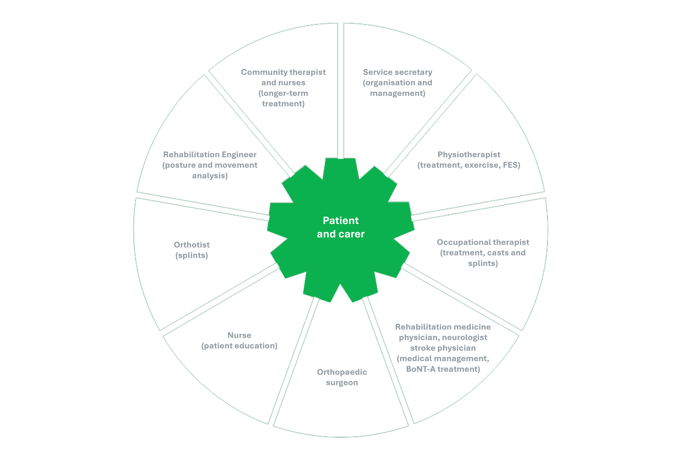 Adult focal spasticity