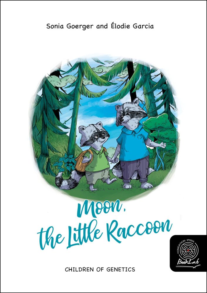Image for Moon, the Little Raccoon